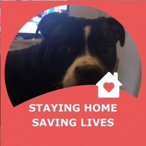 Meet your Posher, Richard